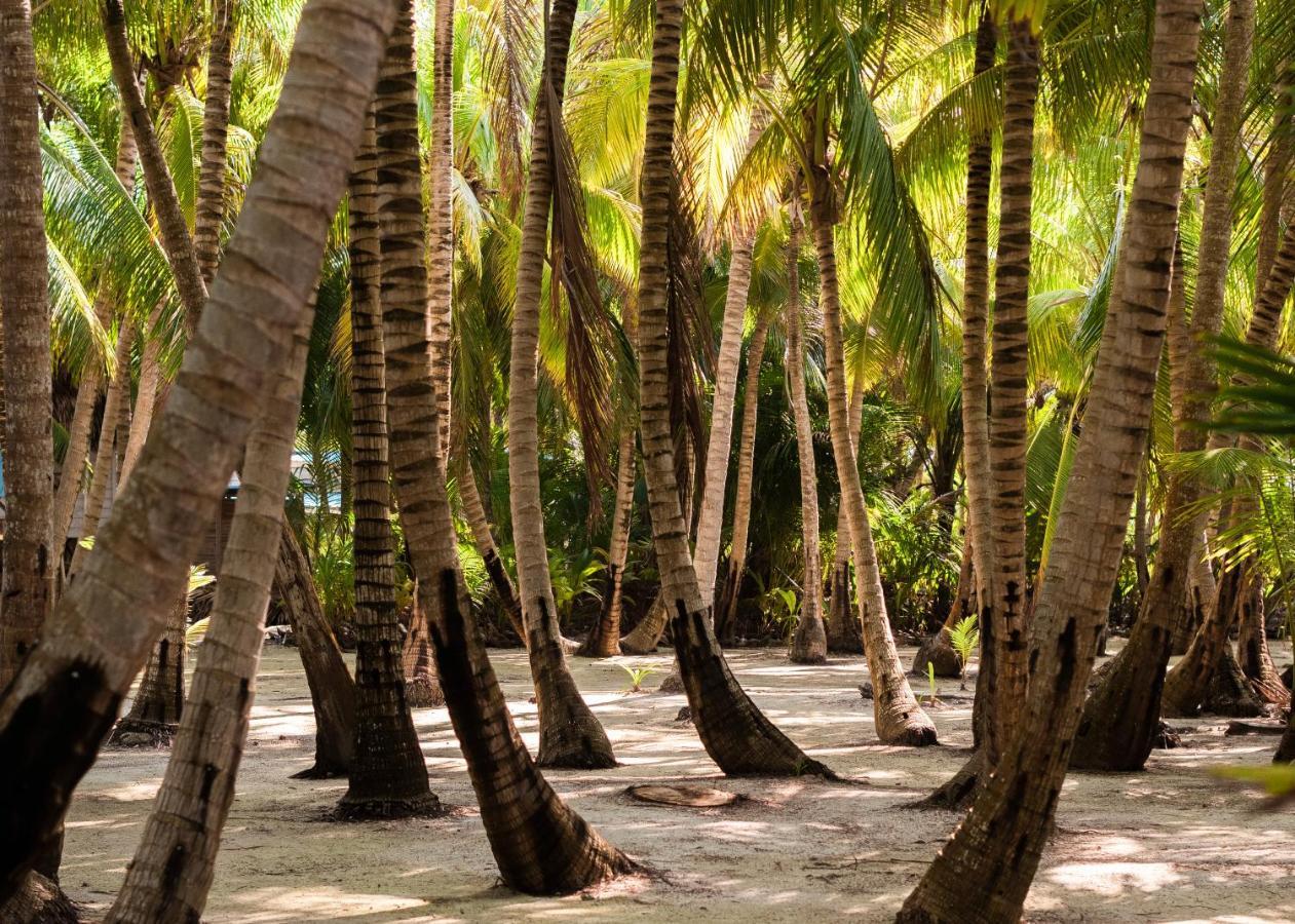 Slickrock Belize Adventures Glovers Reef Exterior photo